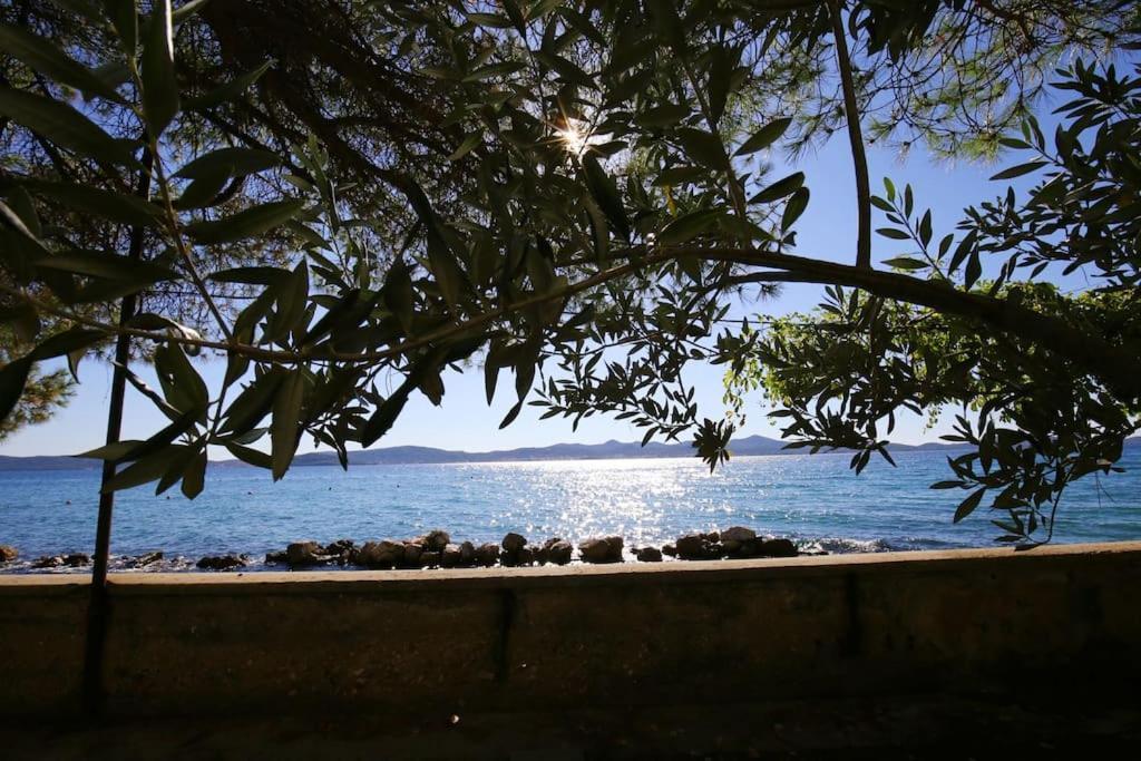 Zadar Center Beach Apartment - Directly On The Sea المظهر الخارجي الصورة